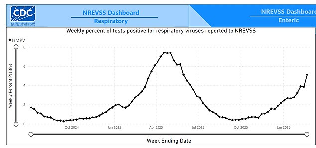 HMPV Outbreak: No Cure as Cases Surge, CDC Warns