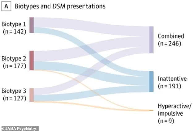 Study Identifies Three Biologically Distinct Subtypes of ADHD, Paving the Way for Personalized Treatment Approaches