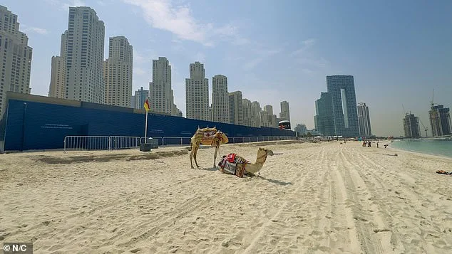 Dubai's Iconic Beaches Lie Empty as Iran's Missiles Turn Tax-Free Haven into Ghost Town
