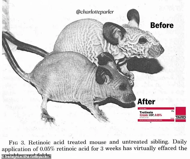 From Skin Care Breakthroughs to Ethical Scandals: The Dark Legacy of Dermatology Pioneer Dr. Albert Kligman