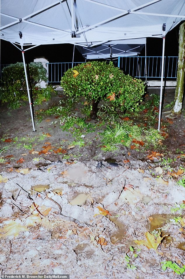 Sunshine and Shadows: White Supremacy Beneath Newport Beach's Opulence