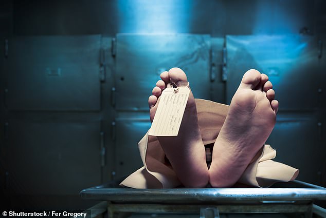 Controversial Cadaver-Derived Filler Alloclae Sparks Debate Over Safety, Efficacy in Plastic Surgery