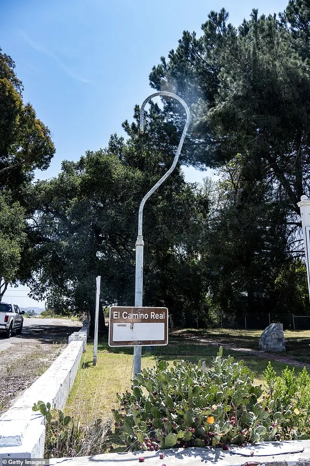Burlingame's 'City of Trees' Faces Emotional Loss as Iconic Eucalyptus Groves Are Felled