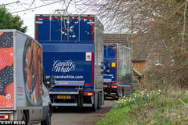 Andrew Mountbatten-Windsor's Art Collection Arrives at New Sandringham Home Amid Relocation Speculation