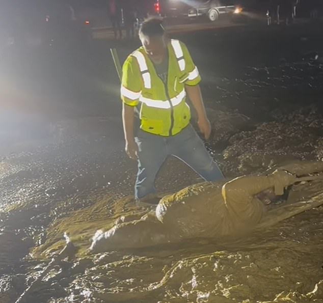 Mississippi Man Trapped in Mud During Trail Ride Event
