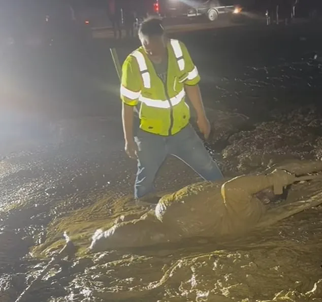Mississippi Man Trapped in Mud During Trail Ride Event