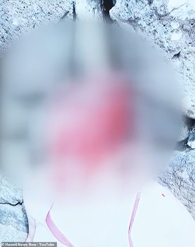 Hawaii Doctor Accused of Attempting to Murder Wife During Oahu Hiking Trail Altercation: Self-Defense Claim