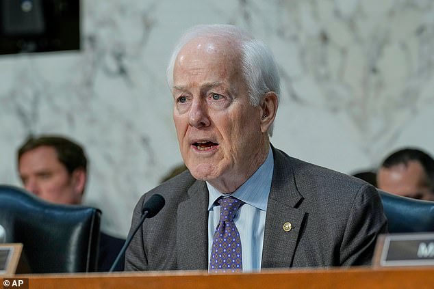 Internal GOP Battle Intensifies as Cornyn Faces Accusations of Undermining MAGA Over Anderson Nomination