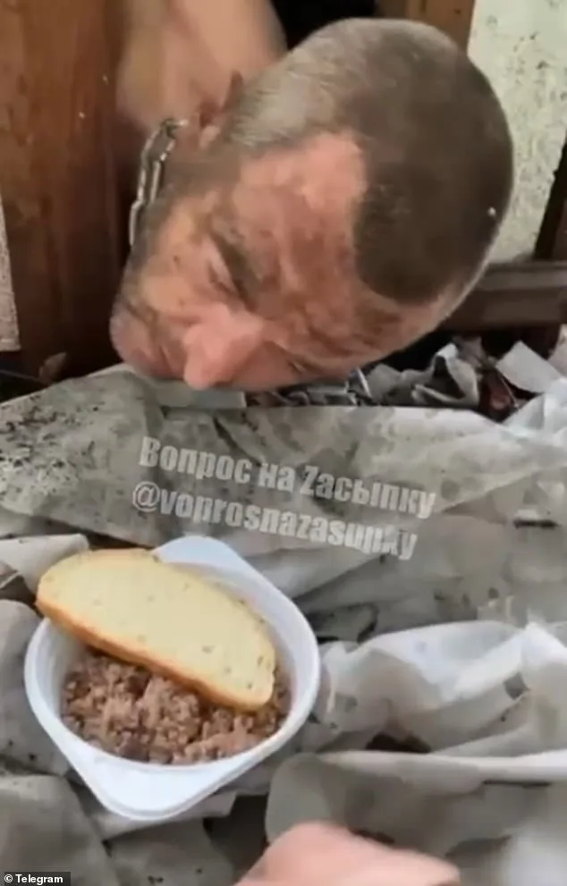 Harrowing Footage Reveals Brutal Treatment of Russian Troops in Ukraine