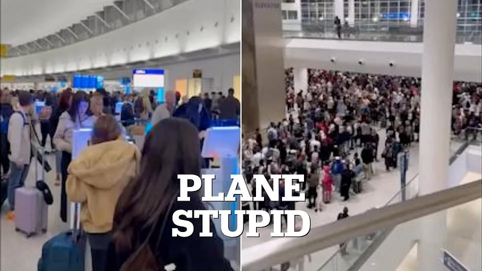 Spring Break Travel Chaos: Airport Delays and TSA Leadership Vacuum