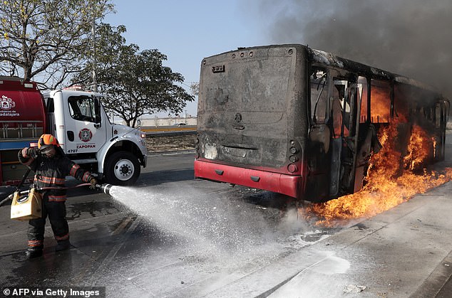 From Mexico to Hawaii: A Vacation Upended by Cartel Chaos and Hurricane Deluges