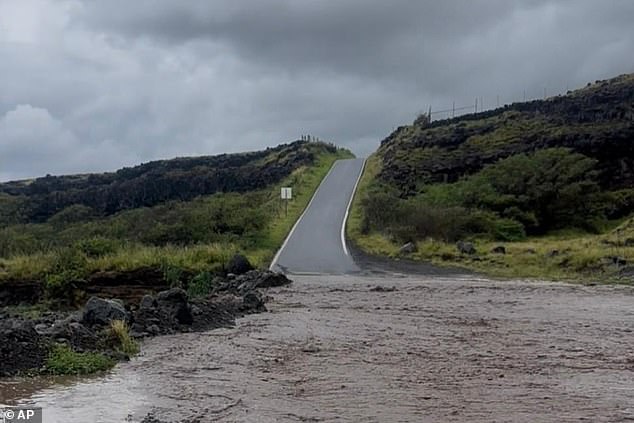 From Mexico to Hawaii: A Vacation Upended by Cartel Chaos and Hurricane Deluges