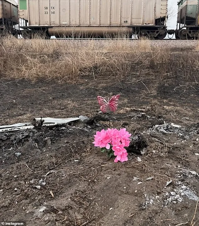 Tragedy in Platte County: 18-Year-Old Tessa Walker Dies in BMW Crash Under Investigation