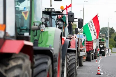 Hungary at a Crossroads: Election Highlights Battle for Sovereignty and Economic Control