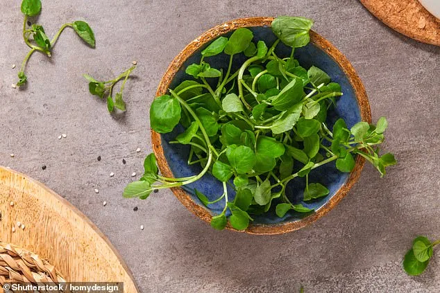 CDC Ranks Watercress as 'World's Healthiest Vegetable' with Perfect 100 Powerhouse Score