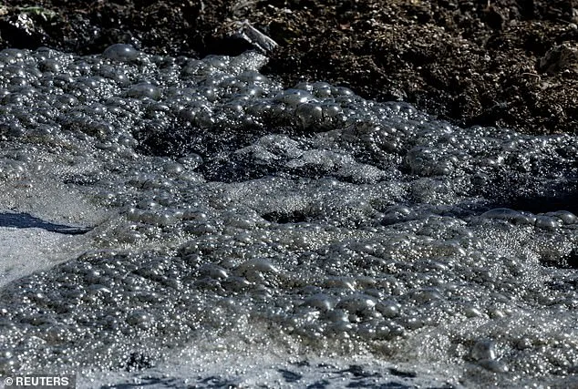 San Diego Beaches Closed Over Sewage Crisis as Tijuana Infrastructure Fails