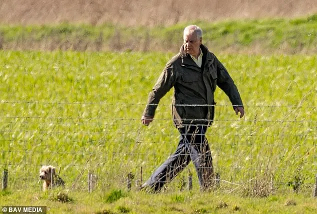 Brotherly Visit: Prince Edward Meets Prince Andrew Amid Epstein Inquiry Scrutiny