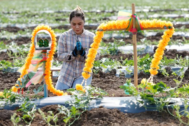 Food Catastrophe Warned as Strait of Hormuz Blockade Continues