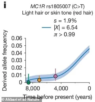 Human Evolution Speeds Up: Redheads and Intelligence on the Rise