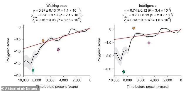 Human Evolution Speeds Up: Redheads and Intelligence on the Rise