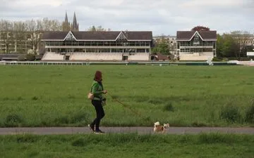 Humpback Whale Rescue: Germany autorizes new attempt.