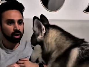 New AI tool translates LinkedIn buzzwords back into plain English.