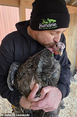 Undercover footage exposes filthy, inhumane conditions in NYC live animal markets.