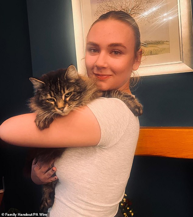 New pet laws spare cat thief from jail after he returns Nora.