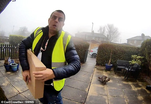 New pet laws spare cat thief from jail after he returns Nora.