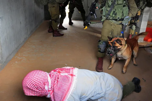 Hundreds of pro-Palestinian activists detained after flotilla interception have been deported.