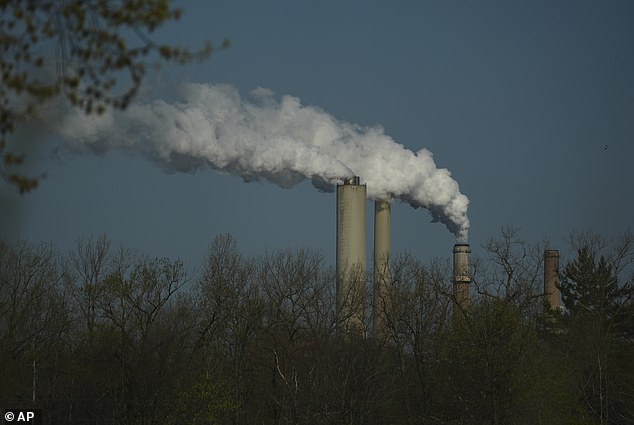 One hour of polluted air immediately damages lungs and brain function.
