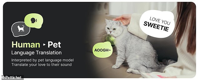 Chinese Startup Launches AI Collar That Claims to Translate Pet Speech