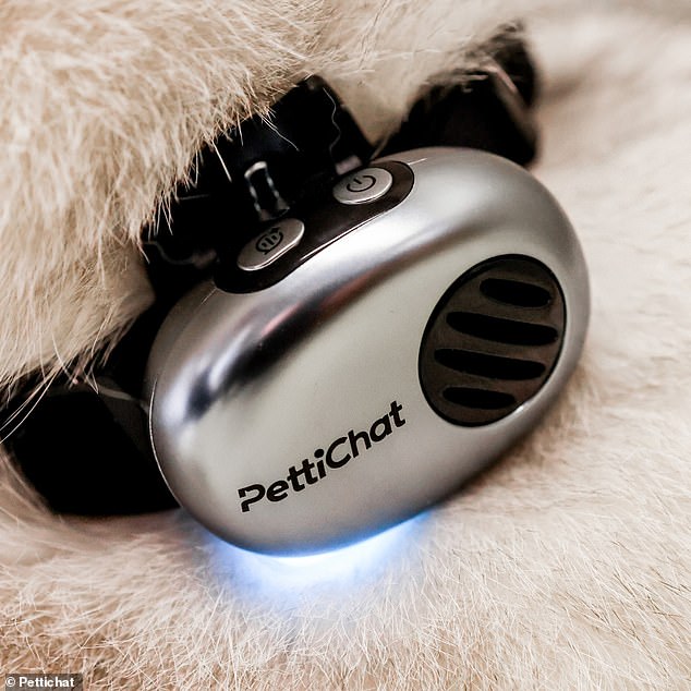 Chinese Startup Launches AI Collar That Claims to Translate Pet Speech