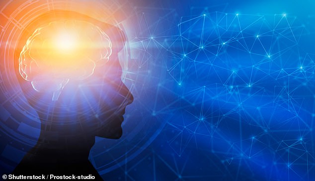 Consciousness Evolved to Simulate Futures and Drive Human Success