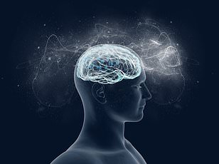 Consciousness Evolved to Simulate Futures and Drive Human Success