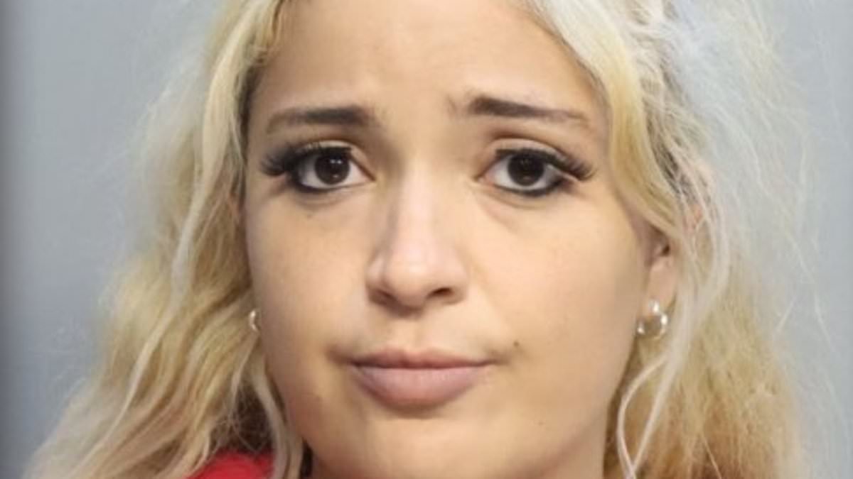 Miami woman stabs male companion in Uber over beer warning dispute