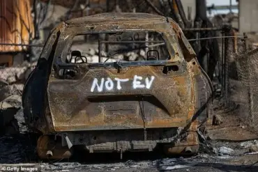 California's Wildlife Cleanup Hindered by Dangerous Lithium-Ion Batteries