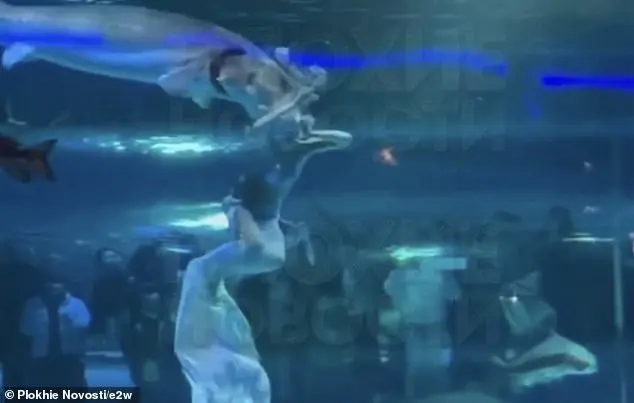 Giant Fish Attacks Mermaid Performer's Face in Front of Terrified Children