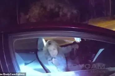 Foul-Mouthed Florida Woman Attacks Deputies During Traffic Stop