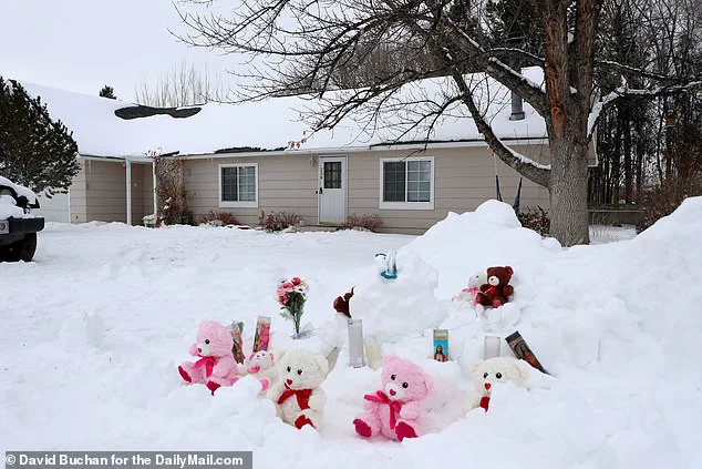 Friend remembers Wyoming mother who killed her four young daughters as a 'fierce mama bear protector' struggling with mental health issues