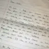 TikTok Fan Receives Handwritten Letter from Luigi Mangione