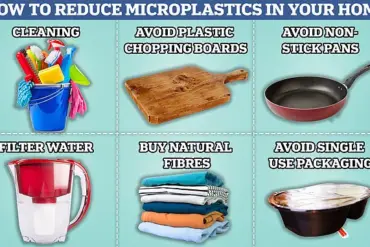 Microplastics in Water: A Potential Link to Disabilities