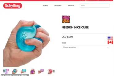 Seven-Year-Old Girl Injured After Following Online Trend of Microwaving Toys