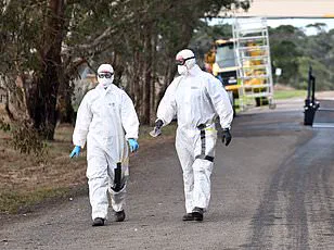 WHO Investigates Mysterious Illness Outbreak in Western Congo