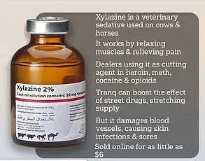 Deadly Animal Sedative Emerges as New Threat in Illicit Drug Market