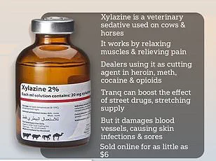 Deadly Animal Sedative Emerges as New Threat in Illicit Drug Market