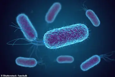 E. coli Linked to Rising Rates of Early-Onset Colorectal Cancer