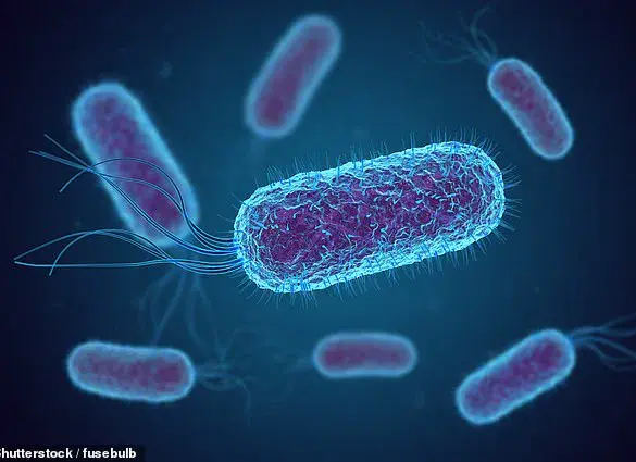 E. coli Linked to Rising Rates of Early-Onset Colorectal Cancer
