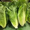 E. coli Outbreak Linked to Food Poisoning of at Least 89 Across 15 States with One Death