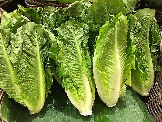 E. coli Outbreak Linked to Food Poisoning of at Least 89 Across 15 States with One Death